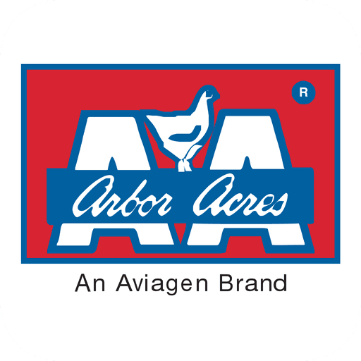 Arbor Acre Day-Old Chicks